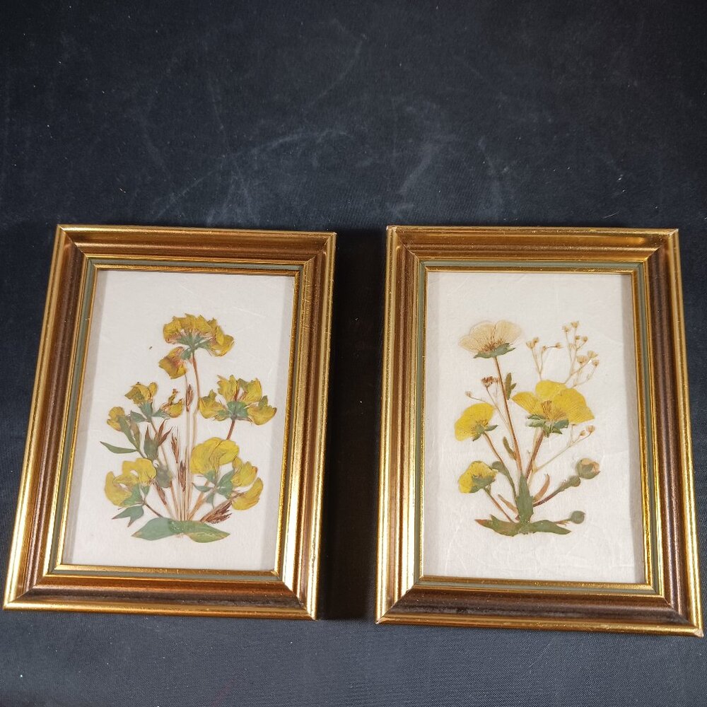 Vintage 2 Pressed Flower Mini Frames Broadway